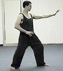 Metal Element Stance